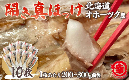 ほっけの開き 10枚（200～300g前後） オホーツク産 真ほっけ 【 ふるさと納税 人気 おすすめ ランキング ほっけ ホッケ 開きホッケ 開きほっけ 真ホッケ 真ほっけ 干物 ほっけ干物 ホッケ干物 ギフト プレゼント 贈答 贈り物 焼き魚 海鮮 10枚 冷凍 オホーツク 北海道 佐呂間町 送料無料 】 SRMA026