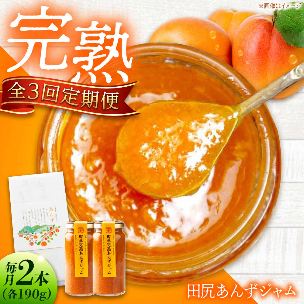 【ふるさと納税】【全3回定期便】 ジャム 田尻完熟あんずジャム (2本) ジャム 果物 あんず パン 甘い 菓子 朝ごはん おすすめ 人気 フルーツジャム トースト ヨーグルト パンケーキ 瓶詰め ギフト 贈り物 定期便 送料無料 広島県福山市/有限会社勉強堂[BAFL012]