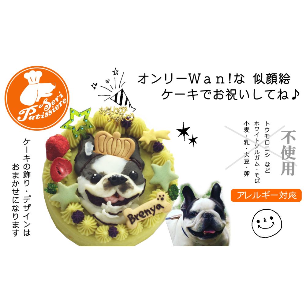 【ふるさと納税限定】犬用似顔絵ケーキ　アレルギー対応・獣医師監修_イメージ5