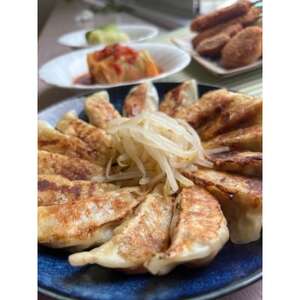 【湖西ポーク使用】冷凍餃子・冷凍串カツ・冷凍ロールキャベツ・冷凍ミニメンチカツ　絶品4点セット【配送不可地域：離島】【1700008】