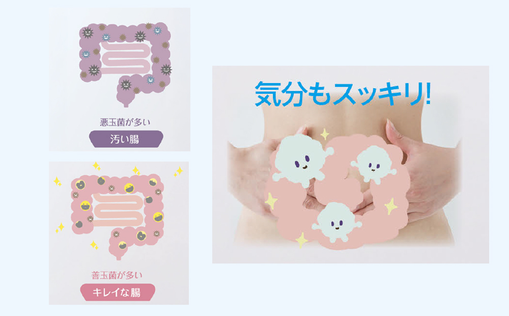 スーパーシータラクト　1箱 90カプセル入り【サプリメント 健康 健康食品 ケア 免疫 ビタミン 関節 腰 乳酸菌 三重県 四日市市 四日市 ふるさと納税】