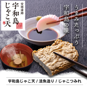 ＼10営業日以内発送／ 【郷土料理】 じゃこ天 かまぼこ 詰め合わせ Aセット 3種 安岡蒲鉾店 つみれ 蒲鉾 かまぼこ 赤白 天ぷら C015-020001