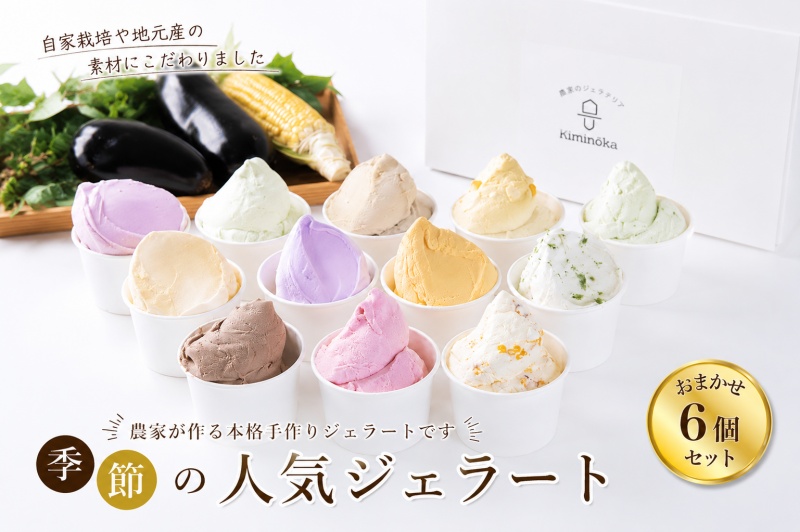 ジェラート セット 6個 3月発送 13000円 / キミノ―カ アイス クリーム スイーツ 野菜 果物【kmk105-mar-6】