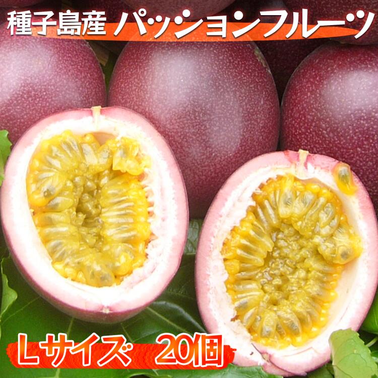 【ふるさと納税】 種子島 パッションフルーツ Lサイズ（20個入り） 甘み の強い サマークイーン パッション フルーツ