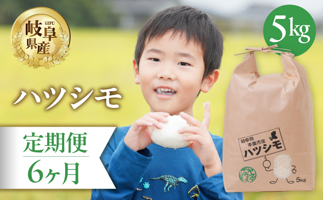 
            【 6回 定期便 】 ハツシモ 5kg × 6か月 米 こめ ごはん 白米 岐阜県産 本巣市 お米 精米 おにぎり 弁当 さっぱり 旨味 甘い 和食 寿司 岐阜県産 ヤマダライス 
          