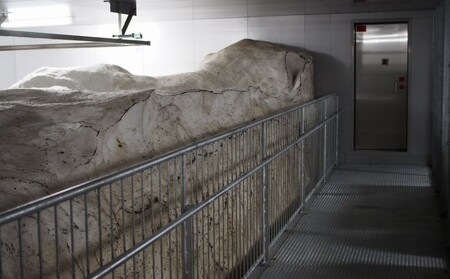 雪むろ棚田米コシヒカリ20kg精白米