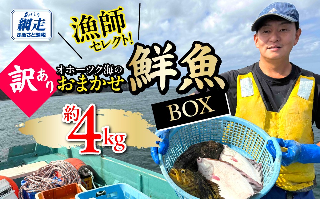 
                  【訳あり】漁師セレクト！オホーツク海のおまかせ鮮魚BOX 約4kg【 ふるさと納税 人気 おすすめ ランキング 鮮魚セット 海鮮セット 魚詰め合わせ 産地直送 漁師直送 新鮮 急速冷凍 冷凍鮮魚 訳あり 規格外 大容量 おまかせセット お取り寄せ 刺身用 煮付け 焼き魚 家庭用 北海道 オホーツク海 網走市 送料無料 】ABBY001
                
