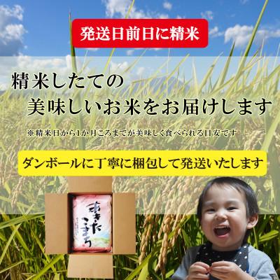 ふるさと納税 盛岡市 【毎月定期便】無洗米 あきたこまち 5kg全12回 |  | 03