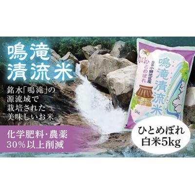 ふるさと納税 山口市 鳴滝清流米白米5キログラム D334