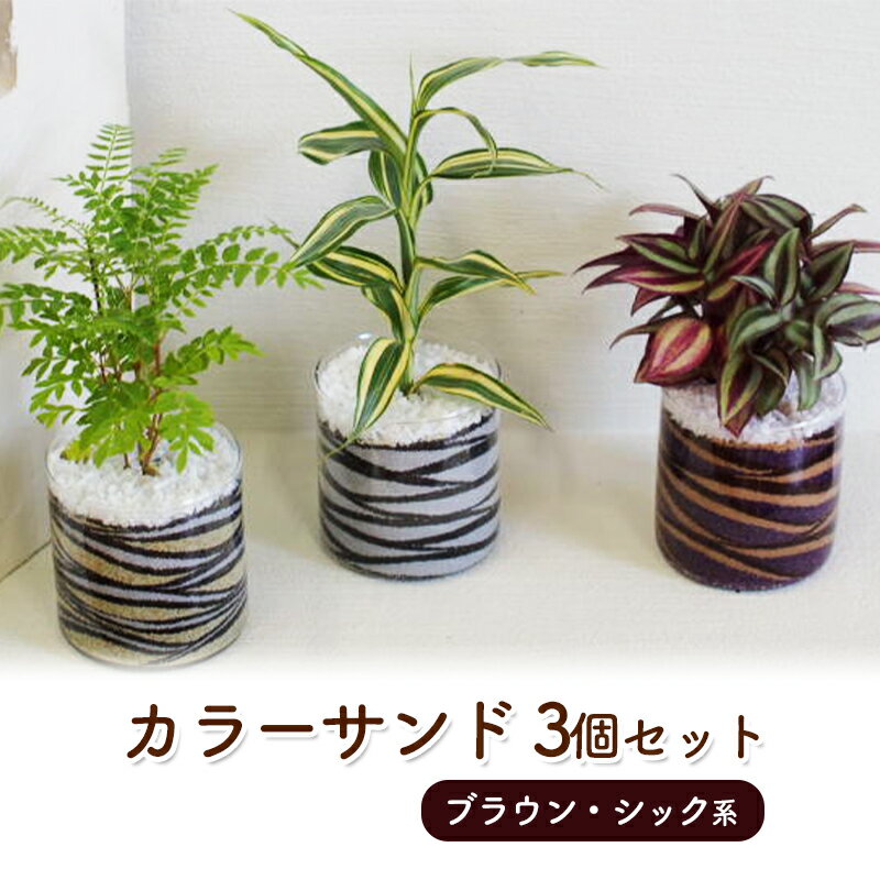 【ふるさと納税】カラーサンド 3個 セット ブラウン・シック系 植物 インテリア ガーデン　朝倉市