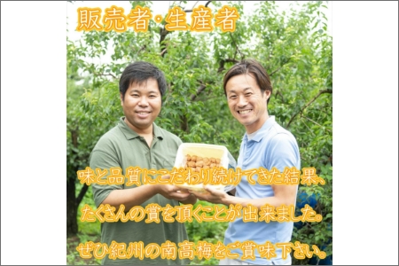 【0456-2】紀州南高梅　はちみつ梅(塩分8%)　10kg（和歌山県産）