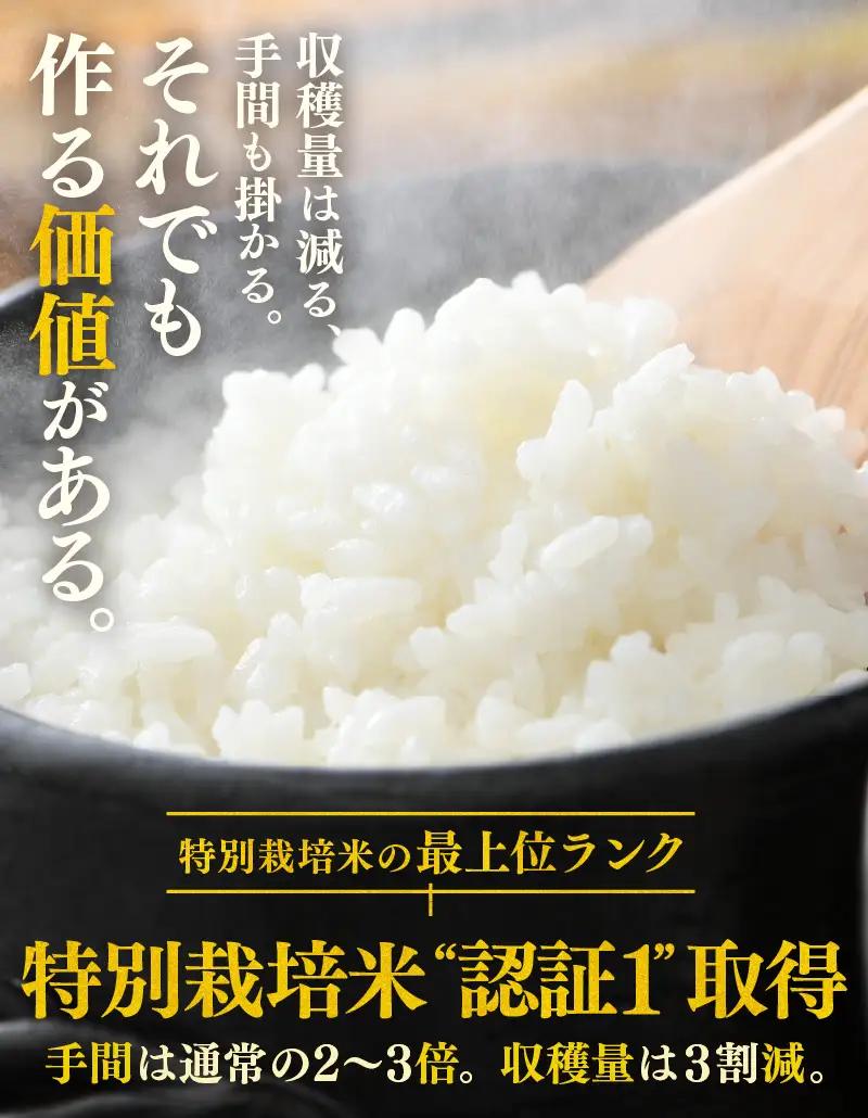 【先行予約】【令和8年産 新米】定期便《6ヶ月連続お届け》コシヒカリ 精米 5kg × 6回（計30kg）特別栽培米 農薬不使用 化学肥料不使用 ／ 残留農薬ゼロ 高品質 鮮度抜群 福井県産 ブランド