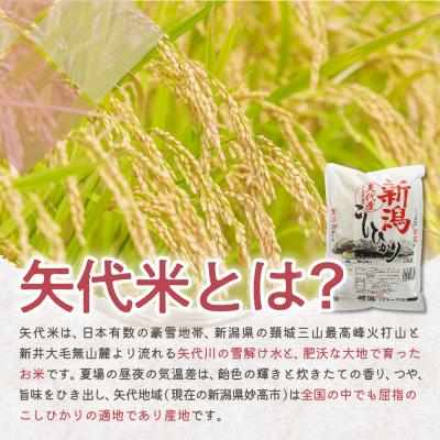 ふるさと納税 妙高市 2025年6月下旬より発送【定期便】新潟県矢代産コシヒカリ2kg×3回(計6kg) |  | 02