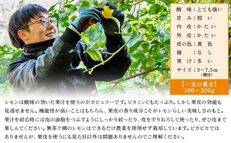 【先行予約】＜無茶々園のレモン 約3kg＋レモンの本＞ フルーツ 果物 くだもの れもん 檸檬 柑橘 香酸柑橘 国産 無茶々園 特産品 愛媛県 西予市【常温】『2027年1月～3月までに順次出荷予定』