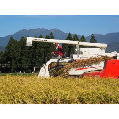 ふるさと納税 南魚沼市 【毎月定期便】南魚沼産 コシヒカリ 白米3kg全6回 |  | 02