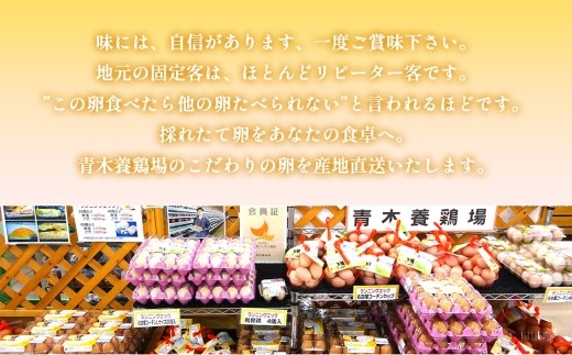 日本を代表する地鶏　名古屋コーチン卵　60個入｜ブランドたまご ブランド卵 ブランド玉子 卵 たまご タマゴ 玉子 鶏卵 産みたて 新鮮 こだわり 上質 濃厚 卵焼き 卵かけご飯 国産 阿久比町産  特産 送料無料 愛知県 阿久比町