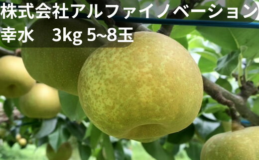 【ふるさと納税】R9先行予約 幸水 3kg 5~8玉 アルファイノベーション株式会社 埼玉県 白岡市