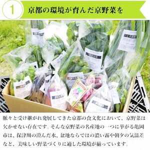 【12回定期便】旬の京野菜 毎月お届けスペシャルコース（全12回）＆『葉酸たまご』10個入り×1パック×3回分付き ※沖縄・離島・諸島へのお届け不可 ≪野菜 定期便 詰め合わせ 野菜 定期便 野菜 定