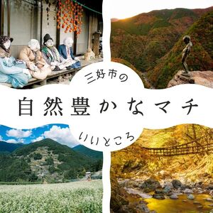 お茶 ルイボスティー GABA 健康茶 紅茶 3パック 22袋入り 定期便 4回 三好市 みよし 紅茶 紅茶 紅茶