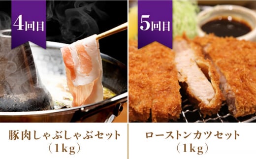【5回お届け】 ナルちゃんファーム豚肉満喫コース 総量5.4kg（豚肉しゃぶしゃぶ・スライス・焼肉・とんかつ計4kg ハムセット1.4kg）/ 豚肉 ロースハム ハム はむ ウインナー ういんなー ソ