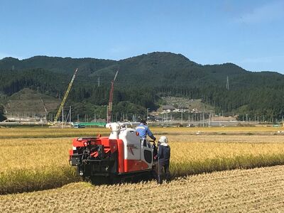 【先行予約】令和6年産新米 ひとめぼれ 5kg 陸前高田市産 石川製油 【 米 お米 今摺り米 おにぎり お弁当 食品 】