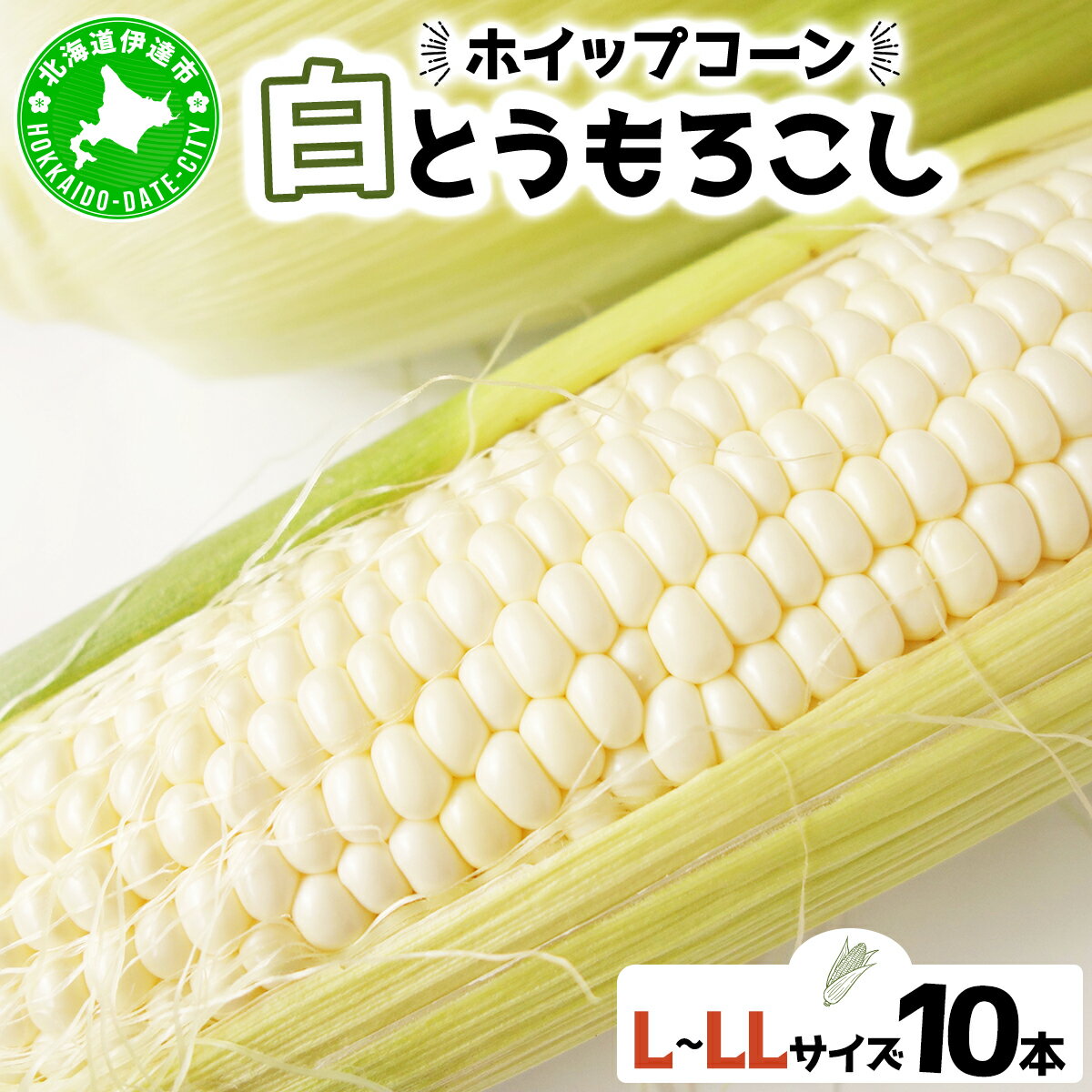 【ふるさと納税】 北海道 朝もぎ ホワイト とうもろこし L-LL サイズ 10本 ホイップコーン スイートコーン 白色 トウモロコシ 白い とうきび コーン 旬 完熟 野菜 甘い 産地直送 お取り寄せ　伊達市　お届け：2024年8月上旬～9月上旬まで
