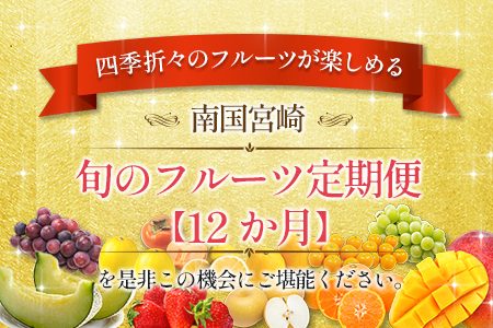 南国宮崎からお届け！旬のフルーツ 12ヵ月定期便【F105】