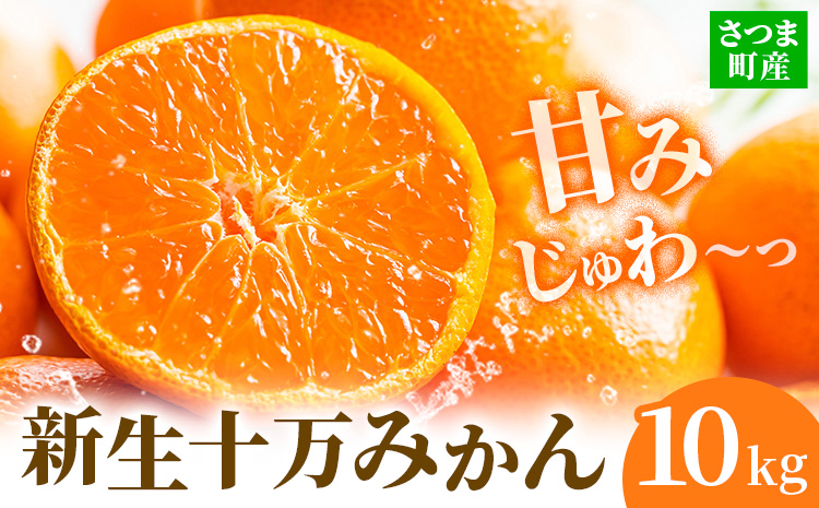 鹿児島県産 新生十万みかん 約10kg 祝迫果樹園《1月中旬-2月中旬頃出荷》鹿児島県 さつま町 みかん 十万みかん 蜜柑 柑橘 果物 くだもの フルーツ ジューシー