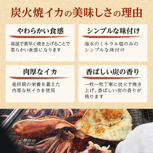 イカ 炭火焼きイカ 8パック セット 青森 いか 干物 干物セット するめ スルメ スルメイカ 海鮮 魚介類 魚介 海産物 国産 加工食品 惣菜 青森県 鰺ヶ沢町 ※ご入金確認後 3ヶ月以内の発送にな
