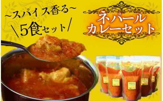 ティハールのネパールカレールーセット 2人分×5袋　【 カレー ネパールカレー カレールー カレーセット 手作り ヴィーガン アレンジ ジャスミン米 スパイス 手づくり セット 国産 レトルト 個包装 保存 贈り物 おすすめ 】
