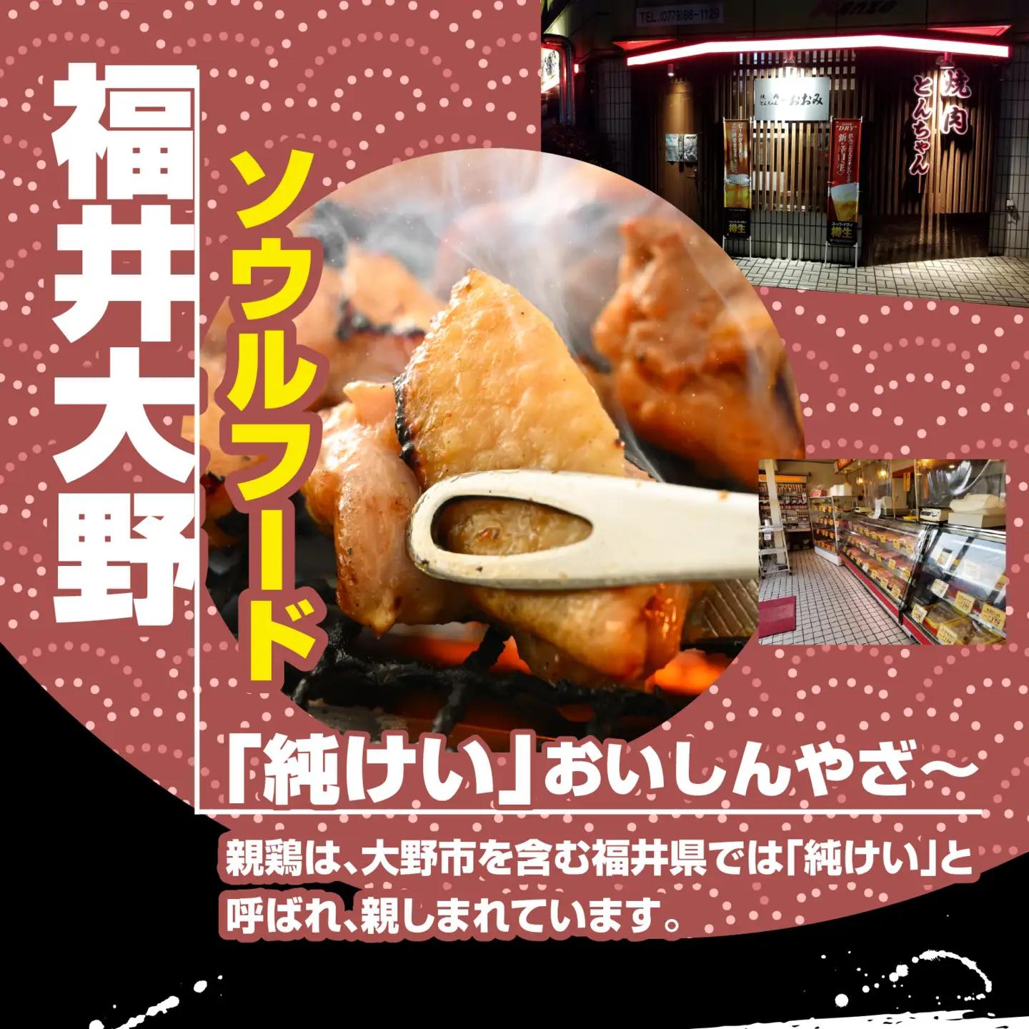 焼肉用 国産 味付け肉 親鶏 純けい 計800g※本州以外配送不可※ 鶏肉