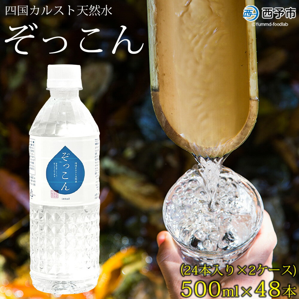 【ふるさと納税】＜四国カルスト天然水ぞっこん 500ml(24本入り)×2ケース 計48本＞ 飲料水 みず 中硬水 弱アルカリイオン水 ペットボトル ウォーター バナジウム 備蓄 防災 非常用 キャンプ アウトドア 国産 ぞっこん四国 愛媛県 西予市【常温】『1か月以内に順次出荷予定』