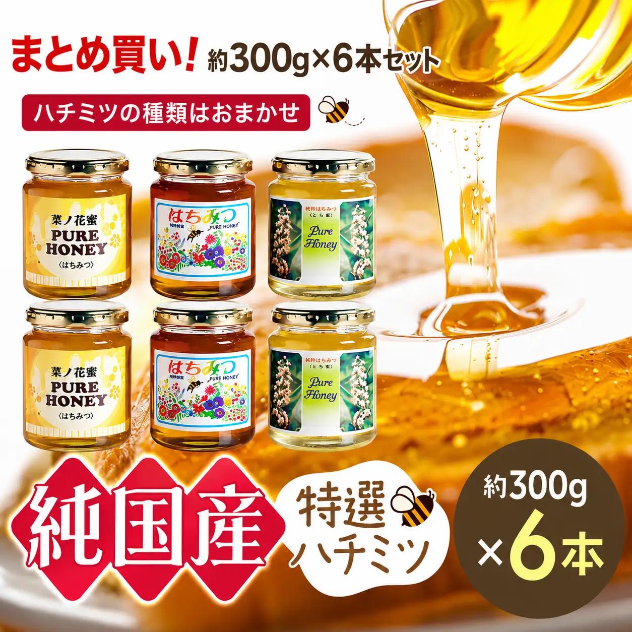 芳川養蜂場特選ハチミツ 約300g×6本セット | ハチミツ はちみつ 蜂蜜 国産 長野県 信州 木島平村