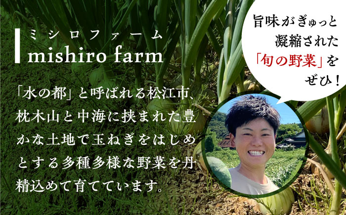 【数量限定100個】【先行予約/2026年6月上旬以降順次発送】味しまねゴールド認証取得! 松江市産 春おとずれ新たまねぎ 5kg 島根県松江市/mishiro farm [ALIJ002]