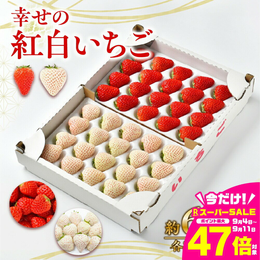 【ふるさと納税】≪先行予約≫幸せの紅白いちご ( 約300g×2 ) 紅白 天使のいちご 紅ほっぺ or ゆめのか or スターナイト 食べ比べ セット 詰め合わせイチゴ いちご 苺 ブランドイチゴ 果物 フルーツ スイーツ 高糖度 甘い 大きい 産地直送 旬 贈答 ギフト 愛知県 豊橋市