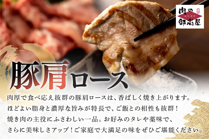 【冷蔵配送】飛騨牛・ボーノポーク・ウインナー 焼肉用食べ比べセット 2～3人前【1.65kg】