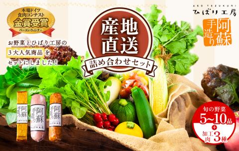 季節のお野菜とひばり工房3大人気セットver.2 野菜 セット 詰め合わせ 食べ比べ ベーコン ハム ソーセージ 本場 ドイツ コンテスト suffa 金賞 手作り 豚肉 新鮮 減農薬 旬 産地直送 