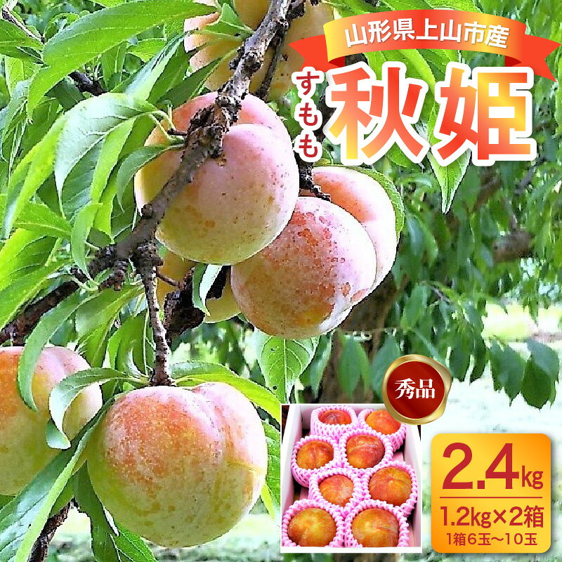 【ふるさと納税】 すもも (秋姫) 2.4kg 秀品 1.2kg × 2箱 スモモ 大玉 プラム 果物 フルーツ お取り寄せ 送料無料 東北 山形 上山市 0017-2607