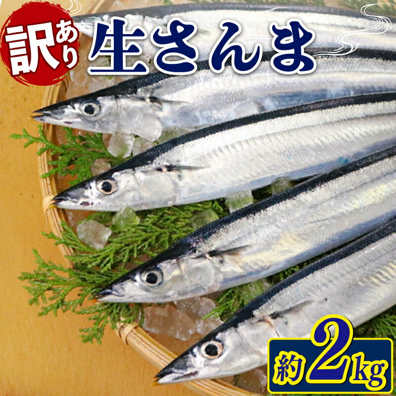 【ふるさと納税】 訳あり 生さんま 約2kg [発送 9月中旬～11月末] 鮮魚 魚 さんま サンマ 旬 季節 秋 期間限定 季節限定 数量限定 三陸 岩手県 大船渡 岩手県大船渡市