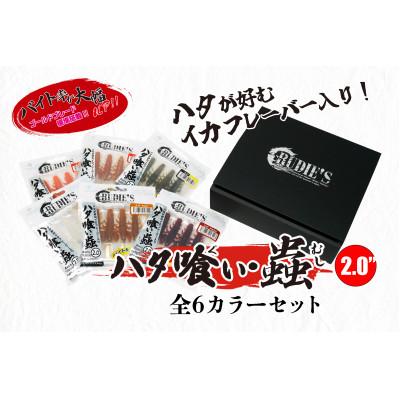 ふるさと納税 飯塚市 RUDIE‘Sのハタ喰い・蟲　2.0inch　全6カラーセット