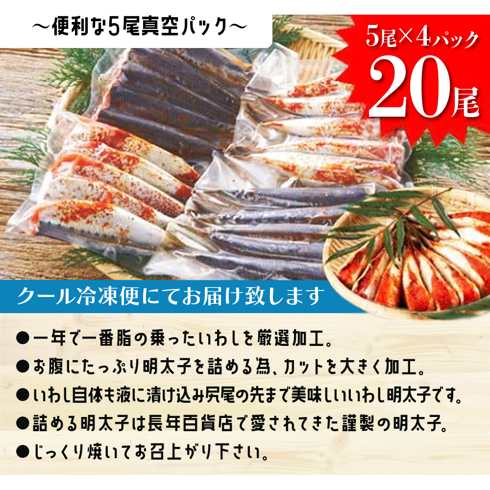 【博多漁師の里】いわし明太子２０尾（５尾×４パック）化粧箱入り