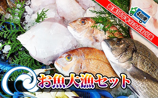 
【定期便4回】創業100年の魚屋さんが選び抜いた旨い鮮魚直送便～
