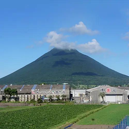＜高島屋選定品＞創業明治45年中園久太郎商店のお漬物7種7品(IB001-051/59D1942)