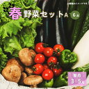 【ふるさと納税】春 野菜セット A 6品 以上 【予約受付/2025年3月発送開始】季節 旬 春 野菜 葉物 冷蔵 野菜室 ダイエット 栄養食 岩手県産 北上産 季節限定 稀少 数量限定 タラの芽 うど こごみ うるい アスパラガス カラー 人参 菜花 つぼみ菜 ほうれん草 P&Cリンク