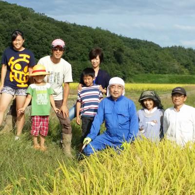 ふるさと納税 上越市 令和7年・新潟県産|特別栽培米コシヒカリ 精米10kg(富永農産) |  | 01