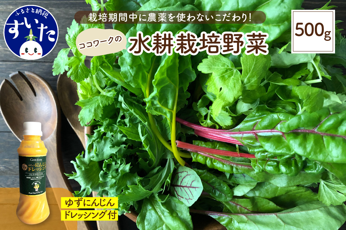 
ココワークの水耕栽培野菜 約500g ゆず人参ドレッシング セット 栽培期間中 農薬不使用【大阪府吹田市】
