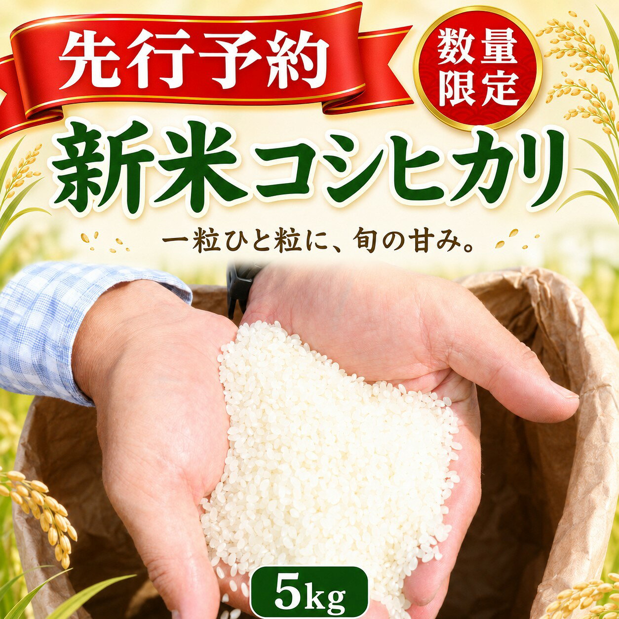 【ふるさと納税】新米 コシヒカリ 5kg 令和8年産 先行予約 8月中旬以降順次発送 数量限定 高知県産 米 お米 白米 こしひかり ごはん 5キロ 高知県 室戸市