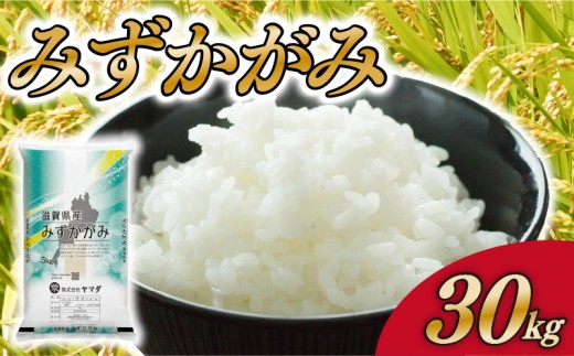 みずかがみ 30kg 白米