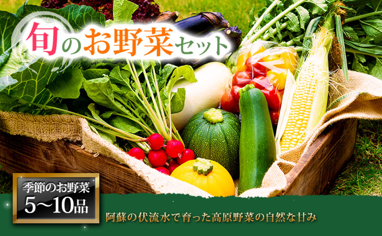 季節のお野菜セット 野菜 セット 詰め合わせ 新鮮 減農薬 旬 産地直送 採れたて 美味しい 人気 自然 安心 安全 旬 熊本 阿蘇