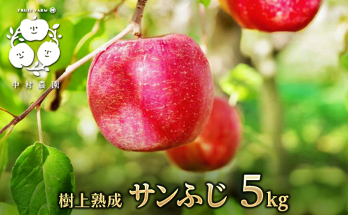【2026年産】樹上熟成　サンふじ 5kg